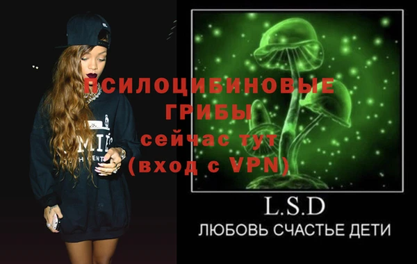 МДПВ Новокубанск