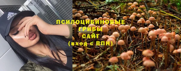 спиды Алексин