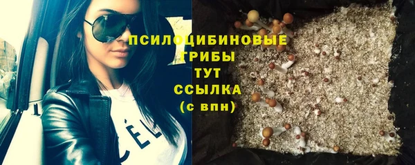 прущие крисы Алзамай