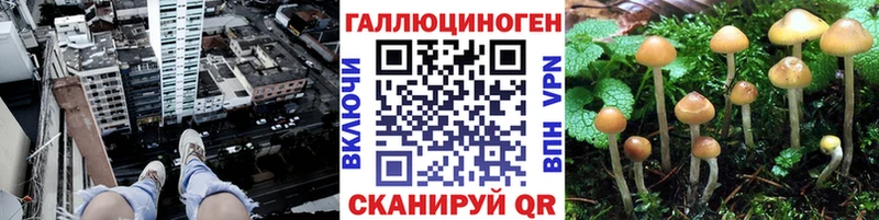 Галлюциногенные грибы Cubensis  blacksprut онион  Бабаево 